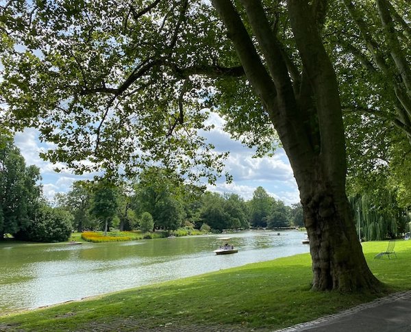 Comment explorer les parcs nationaux de l'Utah avec des enfants en bas âge ?